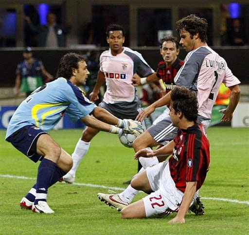 节的行为白 节的行为白