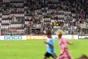 雄鹿的侧翼 雄鹿的侧翼